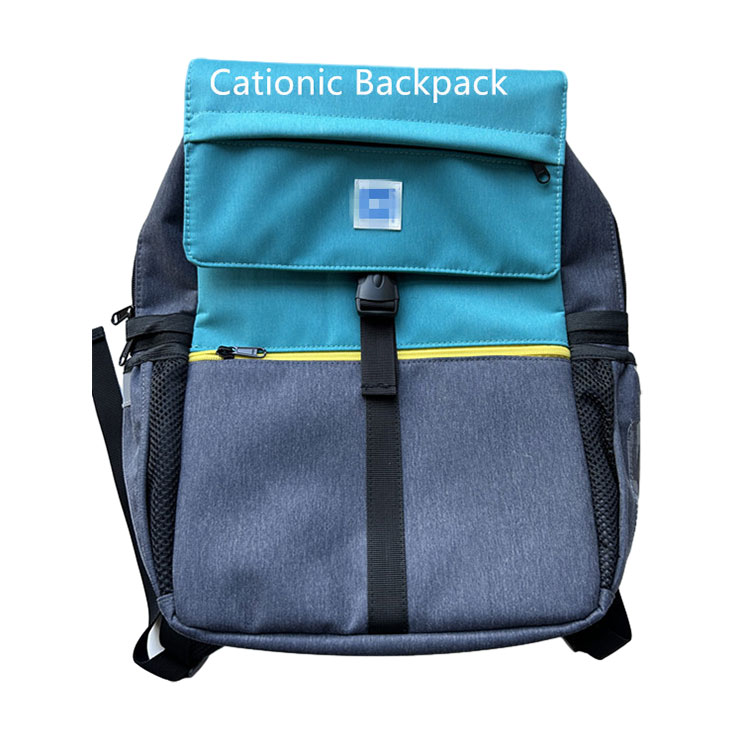 Mga pag-iingat sa paggamit ng Cationic Backpack